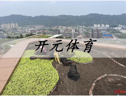 达州城市绿化养护的重要性