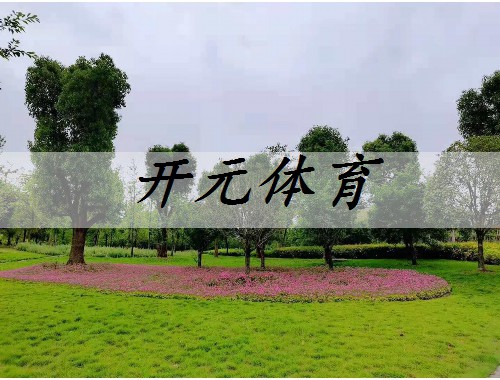 白山绿化苗木市场分析