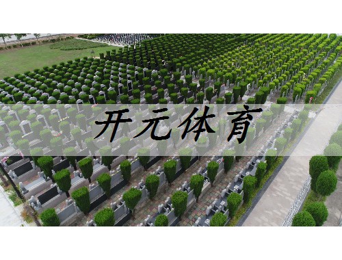 余姚城市道路绿化规范2022