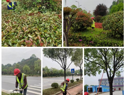 武夷山市政绿化工程经营范围