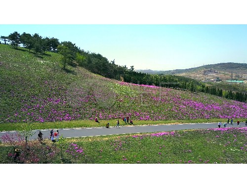 沈阳市公路绿化工程处