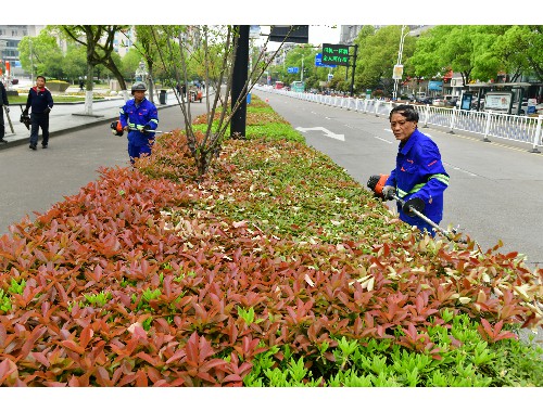 万源市政绿化工程包括哪些项目内容