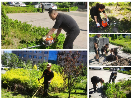 广安绿化树苗批发市场在哪儿