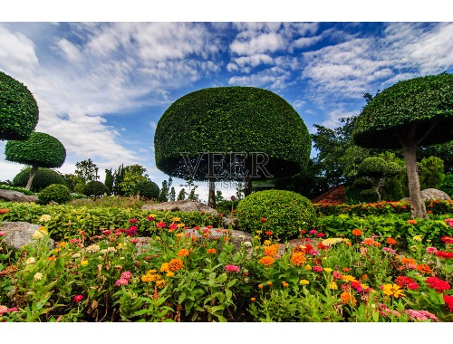 文明城市绿化花